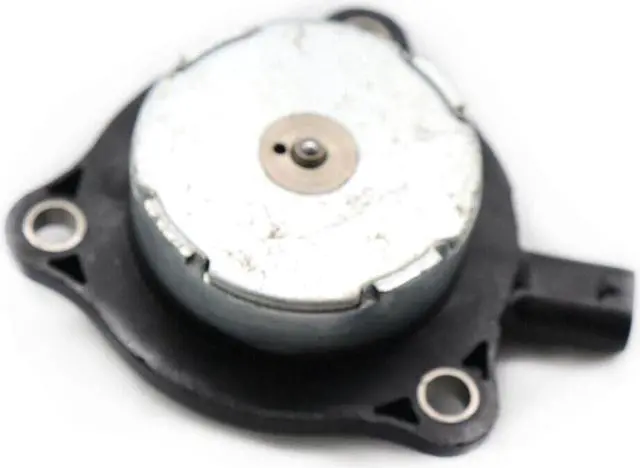 Alt view image 3 of 7 - Paiying in Style with our Lion Version Black T-Shirt Detailed Vector Illustration with Gold Accents