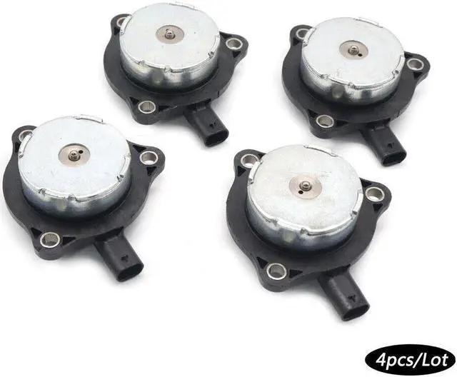 Main image of Paiying in Style with our Lion Version Black T-Shirt Detailed Vector Illustration with Gold Accents