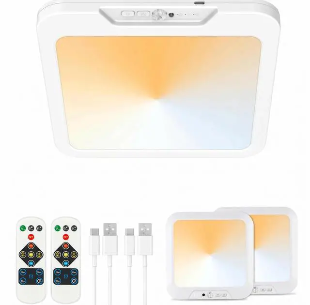 Main image of 2 Pack Motion Sensor Ceiling Light