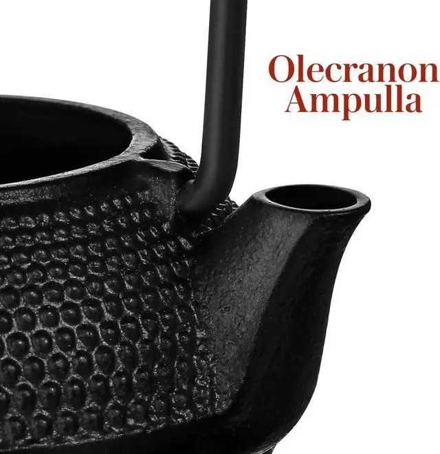 Alt view image 2 of 7 - Small Teapot Cast Iron Mini Tea Kettle Tabletop