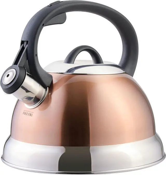 Main image of Flintshire Stainless Steel Whistling Tea Kettle W/Nylon Handle