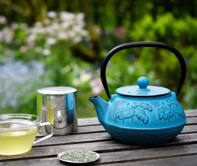 Alt view image 6 of 7 - Cast Iron Tetsubin Stovetop Teakettle Teapot with Mesh Loose-Leaf Filter