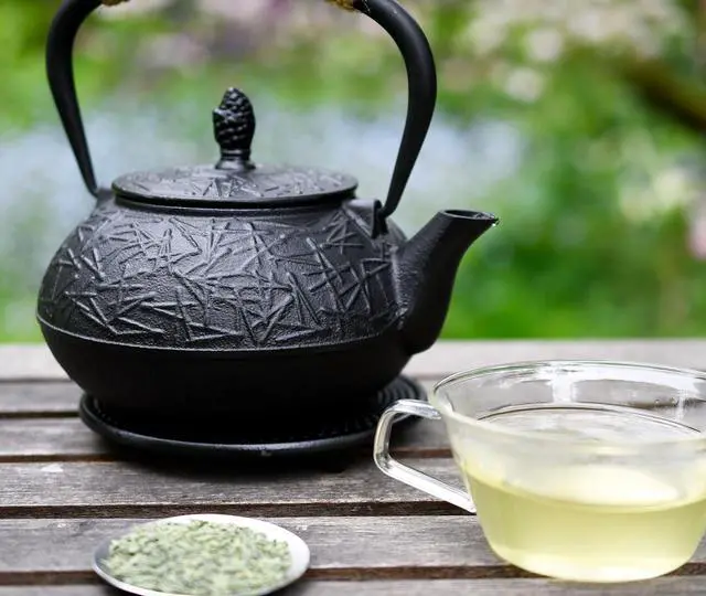 Alt view image 7 of 7 - Traditional Japanese Cast Iron Tetsubin Stovetop Teakettle