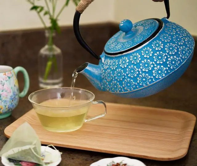 Alt view image 5 of 7 - Traditional Japanese Cast Iron Tetsubin Stovetop Teakettle