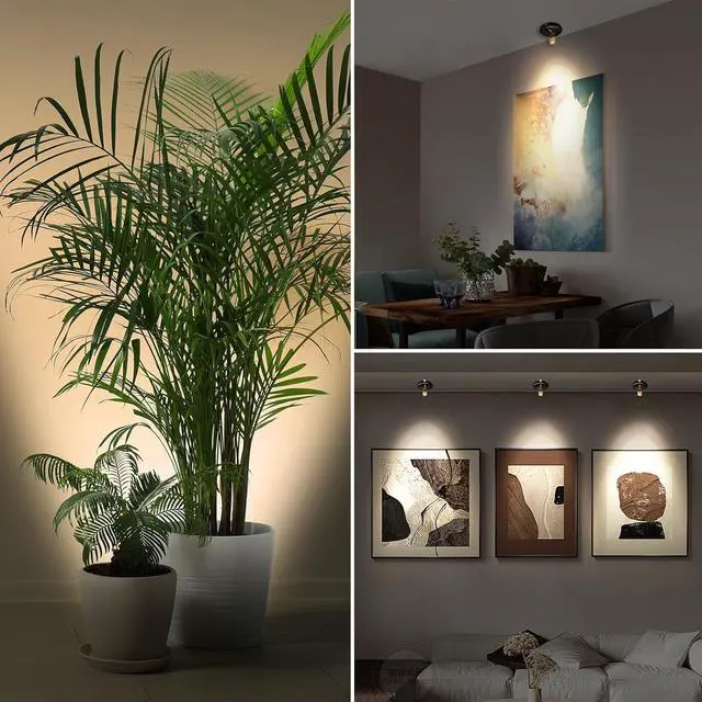 Alt view image 2 of 7 - Indoor Plant Spotlight Battery Operated