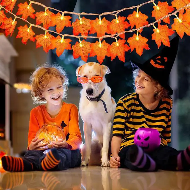 Alt view image 5 of 7 - Fall Maple Leaf Orange Fairy Lights