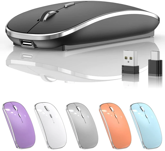 Main image of Halpilt Silent Wireless Mouse | USB-C & USB-A Dual Receiver(Black)