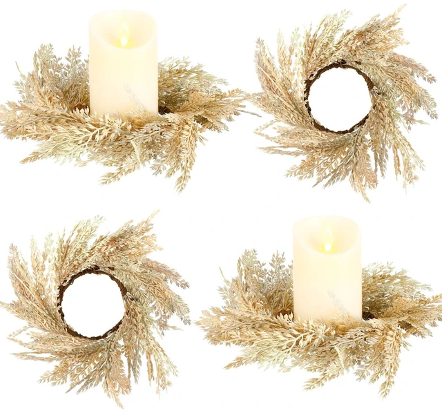 Main image of panelee 4 Pcs Pampas Grass Candle Rings Wreath Fall Decoration, 3.9 Inch