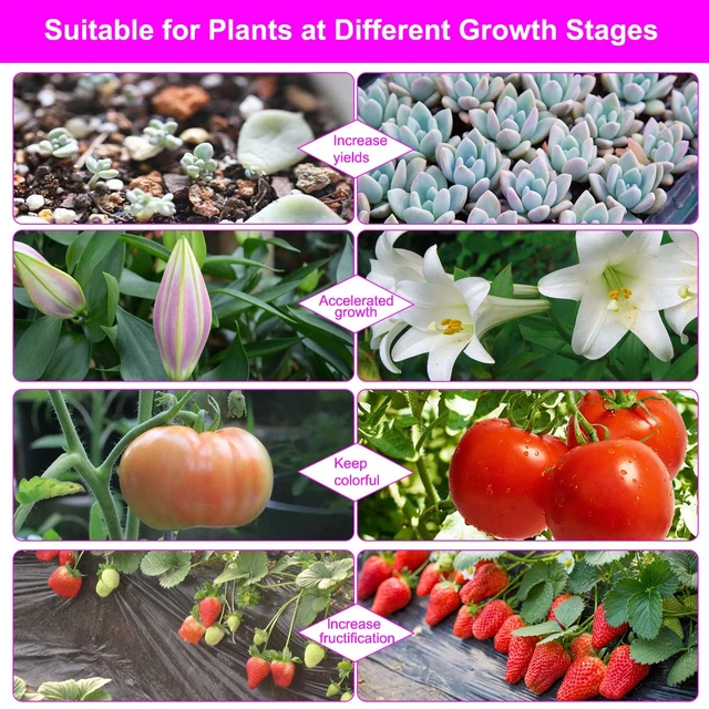 Alt view image 7 of 7 - Grow Lights for Indoor Plants, Full Spectrum Dual-Head Clip Plant Lights