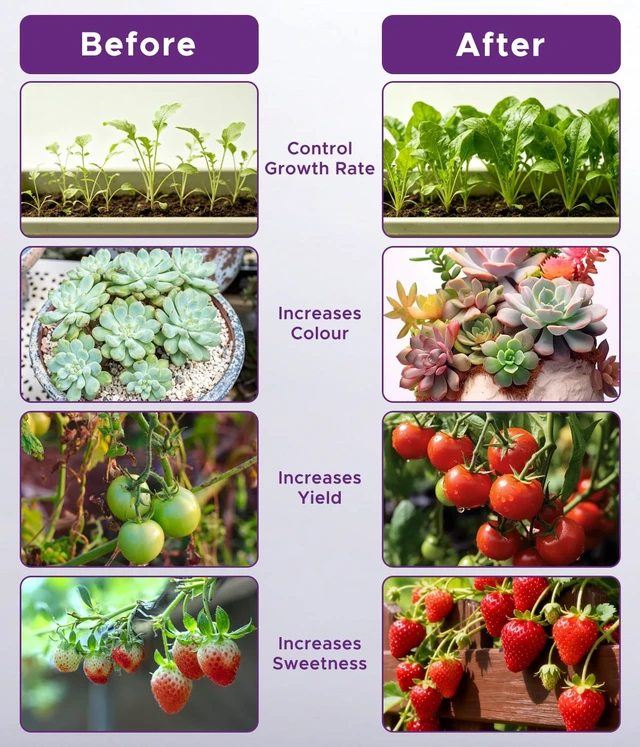Alt view image 3 of 4 - Grow Lights for Indoor Plants,5 Heads Red Blue White Full Spectrum Plant Light with 15-60" Adjustable Tripod Stand, Indoor Grow Lamp with Auto On/Off Timer Function