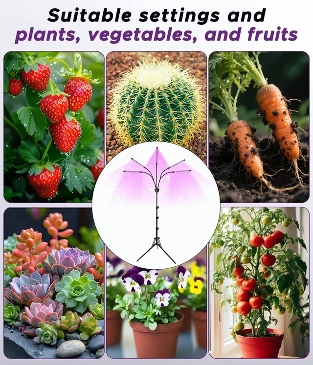 Alt view image 4 of 4 - Grow Lights for Indoor Plants,5 Heads Red Blue White Full Spectrum Plant Light with 15-60" Adjustable Tripod Stand, Indoor Grow Lamp with Auto On/Off Timer Function