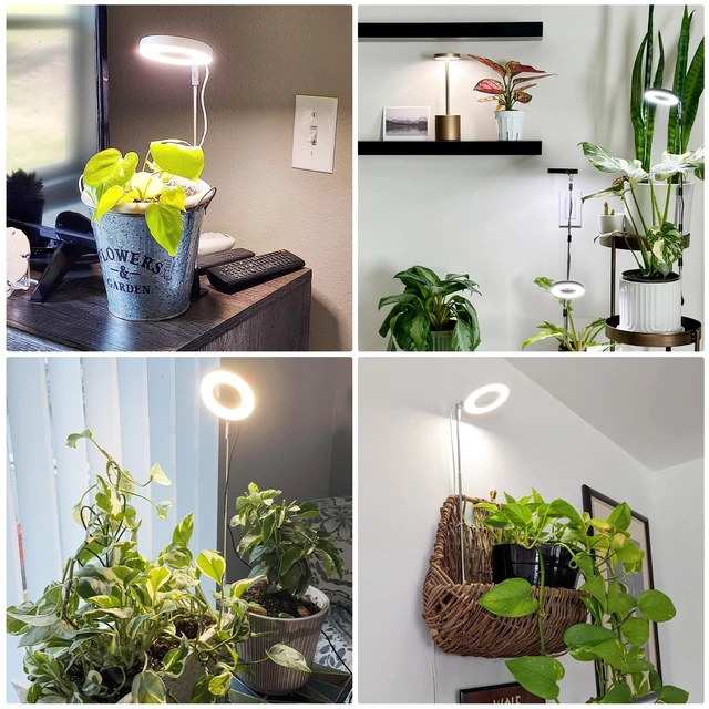 Alt view image 3 of 7 - Aokrean Grow Light, Full Spectrum Plant Lights for Indoor Growing with Base