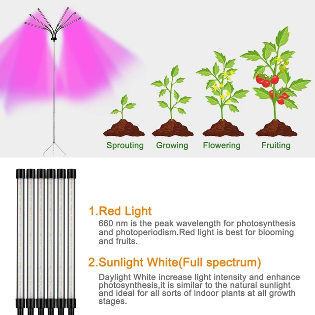 Alt view image 2 of 7 - Mefflypee Grow Lights for Indoor Plants, LED Grow Light Stand, Red White Full Spectrum Plant Lamp with Adjustable Tripod, Gooseneck, Suitable for Flowers Vegetables (Type B)