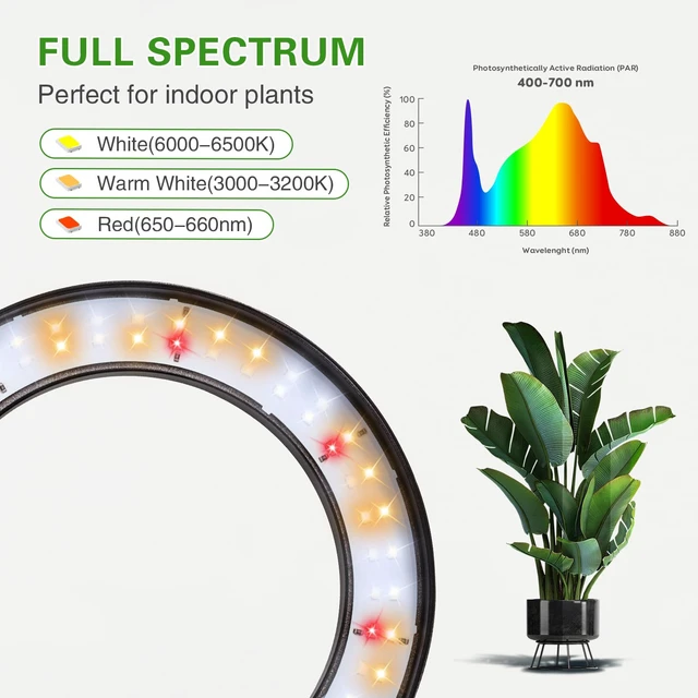 Alt view image 4 of 7 - 68" Full Spectrum Floor Grow Light with Stand for Tall&Large Indoor Plants