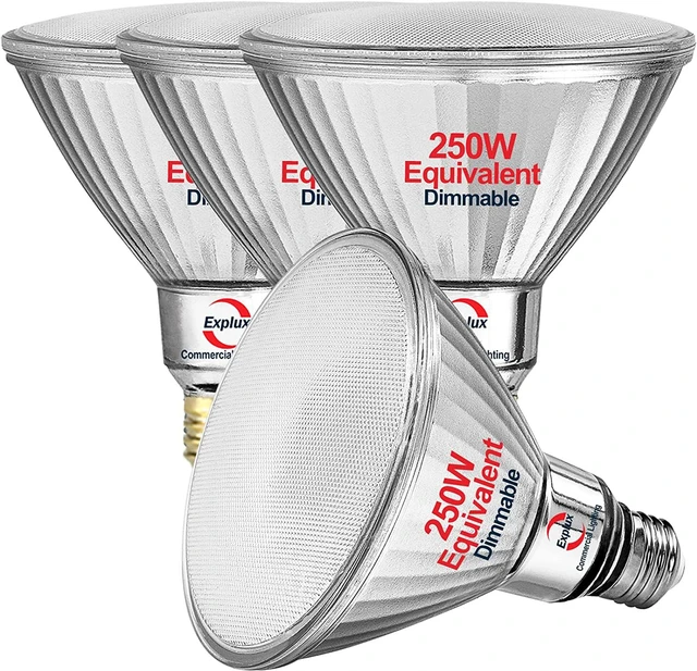 Main image of Explux Full Glass PAR38 Outdoor Flood Light, 250W Equivalent, 5000K, 4-Pack