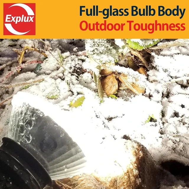 Alt view image 4 of 5 - Explux Full Glass PAR38 Outdoor Flood Light, 250W Equivalent, 5000K, 4-Pack