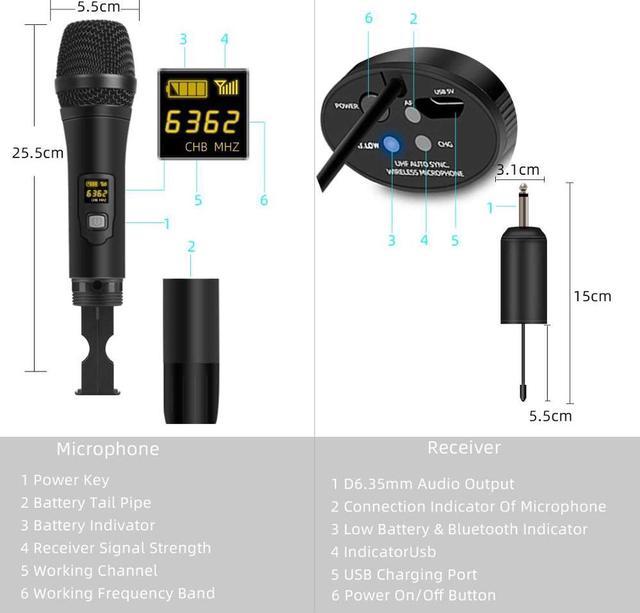 Depusheng X2 Professional Wireless Microphone Dual Portable - Temu