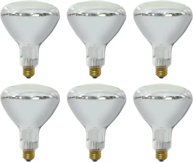 Main image of (6 Lamps) GE Heat Lamp, BR40 Heat Lamp Bulb, 250-Watt, 2150 Lumen, Medium Base, White Light Bulb for Heat Lamps, Flood Light Heat Lamp Bulb