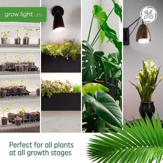 Alt view image 5 of 6 - GE Grow Lights for Indoor Plants, BR30 Indoor Floodlight, LED Light Bulbs for Seeds and Greens with Balanced Spectrum, 25,000 Hours Lifespan, 16 PPF, 2 Pack (Packaging May Vary)