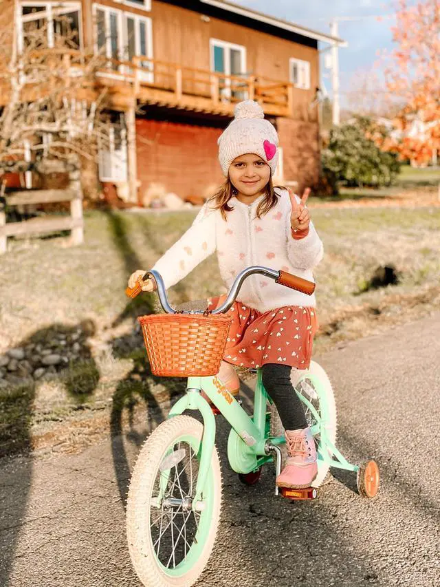 Alt view image 19 of 19 - JOYSTAR Vintage 14 Inch Kids Bike with Basket & Training Wheels for 3-5 Years Old Girls & Boys(GREEN)