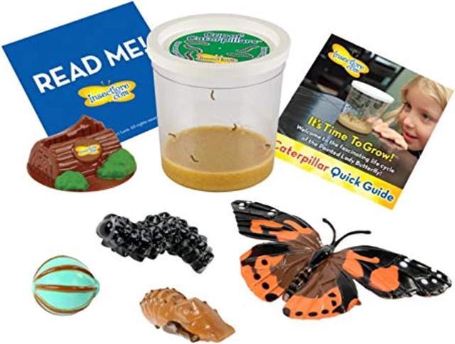 insect lore 5 live caterpillars cup of caterpillars butterfly kit refill -  plus butterfly life cycle stages toy figurines - shipped now 