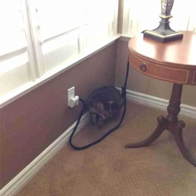 Alt view image 3 of 7 - 1.5 inch SNAKESKIN Wire & Cable Cover - black - 25 feet