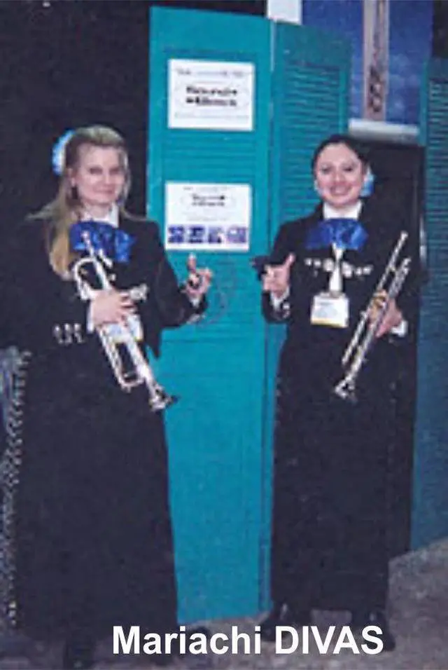 Alt view image 6 of 7 - SOUND BACK Model 2 CLIP ON SAX Panel