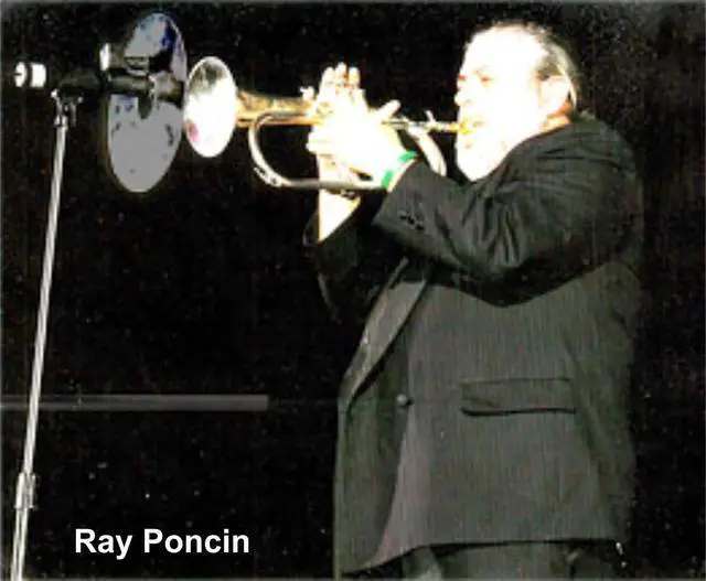 Alt view image 7 of 7 - SOUND BACK Model 2 CLIP ON SAX Panel