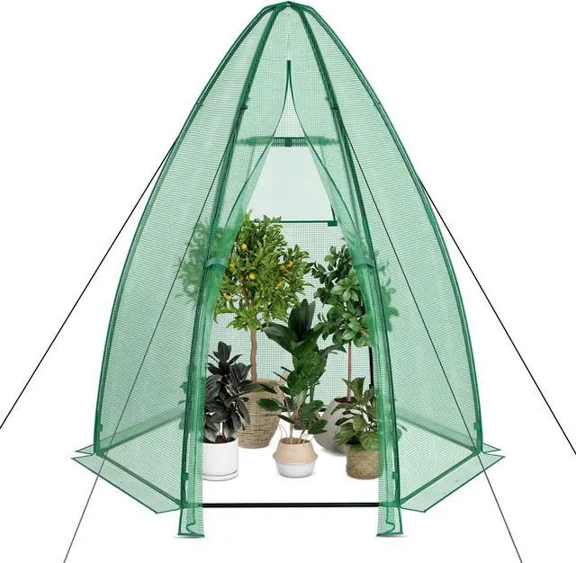 Alt view image 6 of 7 - SlickBlue Portable Mini Greenhouse with All-Weather PE Cover