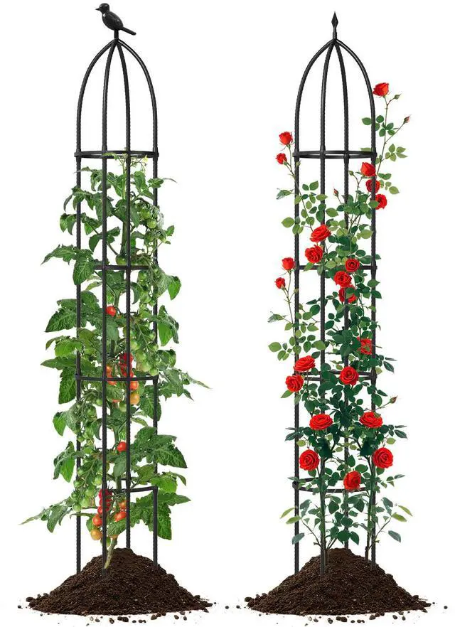 Main image of SlickBlue 2-Pack Garden Obelisk Trellis for Climbing Plants