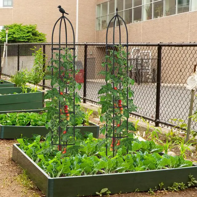 Alt view image 2 of 7 - SlickBlue 2-Pack Garden Obelisk Trellis for Climbing Plants