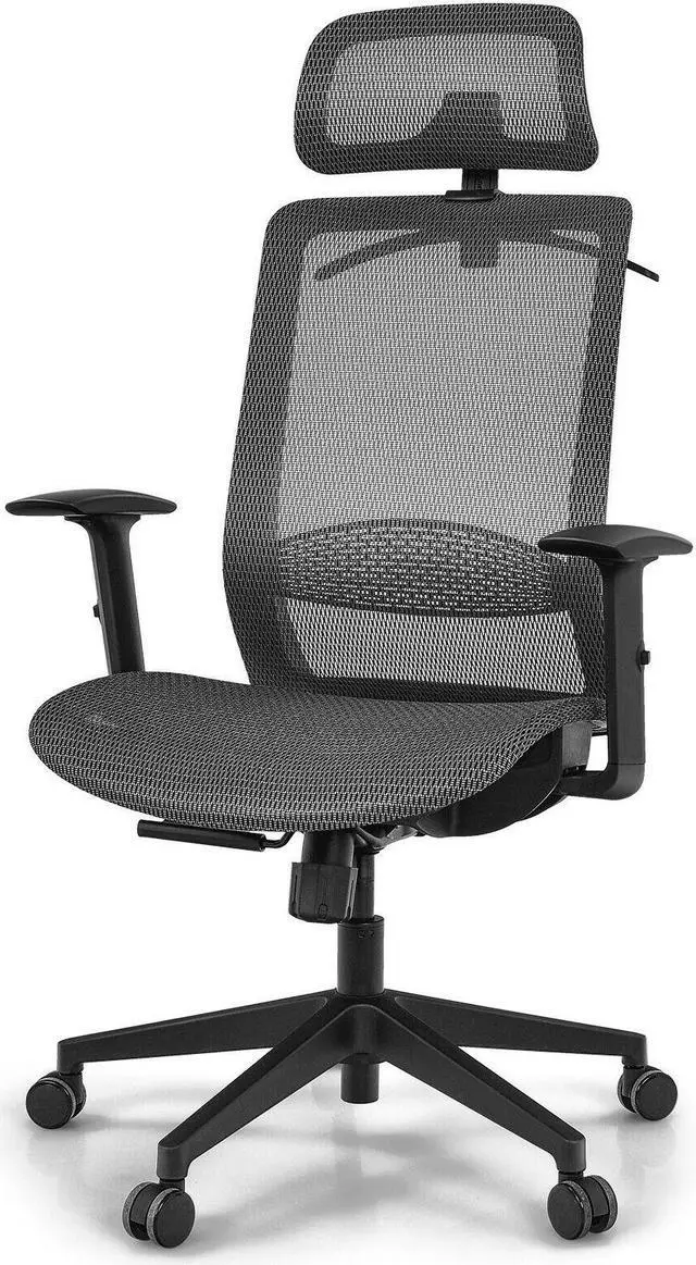 Main image of Height Adjustable Ergonomic High Back Mesh Office Chair with Hange Gray