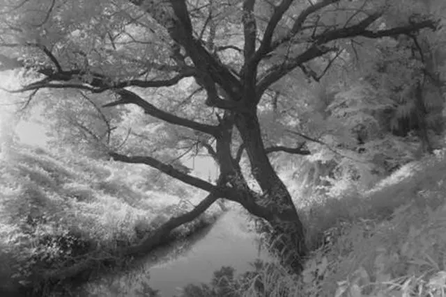 Alt view image 3 of 5 - Hoya 95mm Infrared R72 (720nm) Special Effect Filter - Made in Japan B-95RM72-GB