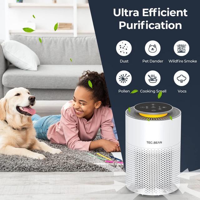 Air Purifiers for Bedroom with H13 True HEPA Air Filter