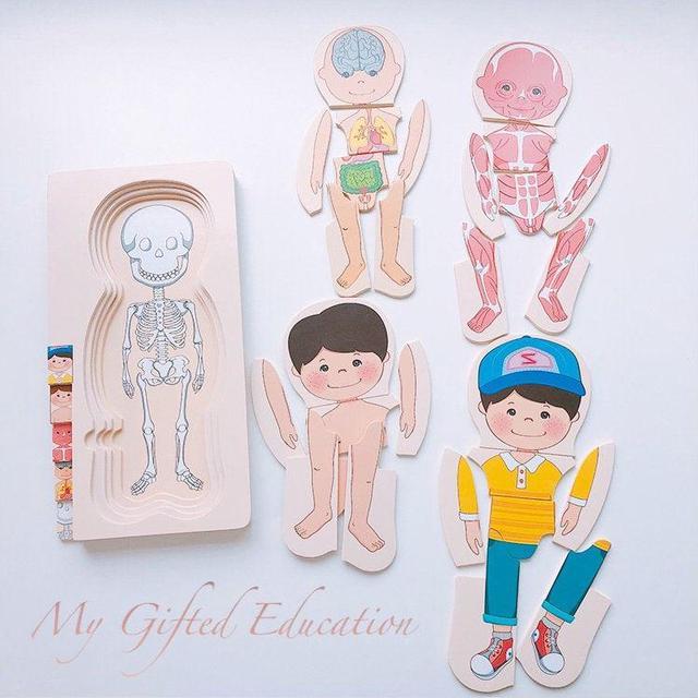 Layer     Wooden Boy     Body     Puzzle     Toys     5 
