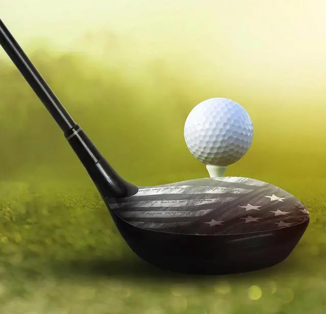 Alt view image 5 of 5 - ParSkins Right-Handed Driver Skin (Proveil Victory Grey)