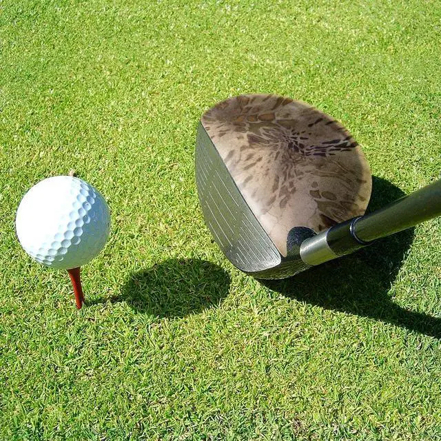 Alt view image 4 of 5 - ParSkins Right-Handed Driver Skin (Prym1 Sandstorm)