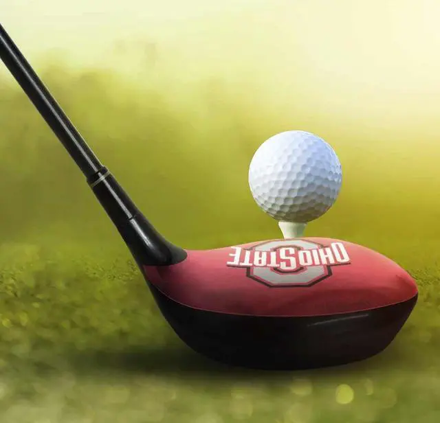 Alt view image 5 of 6 - ParSkins Right-Handed Driver Skin (Ohio State University®)
