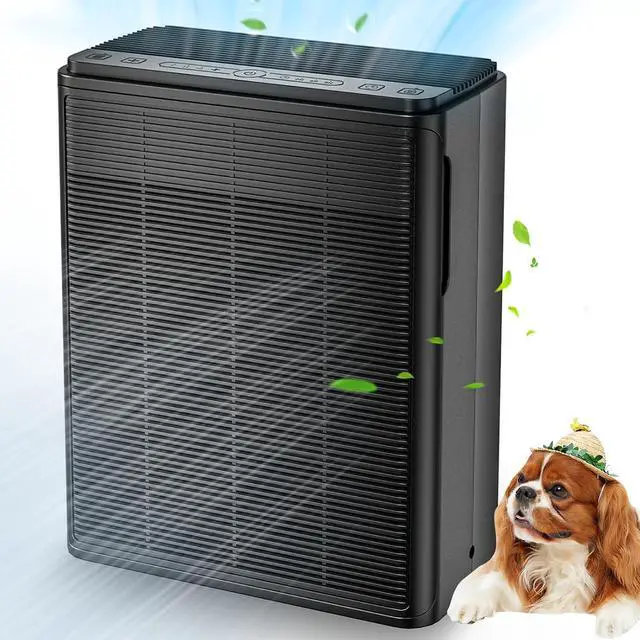 Main image of Air Purifiers for Home Large Room Up to 2000 sqft,Powerful 24W Moter,For Pets Dander Hair Smoke Odor Wildfire,0.1 Micron H13 HEPA Filter,22dB Low Noise Bedroom,Room Air Purifiers (Black)