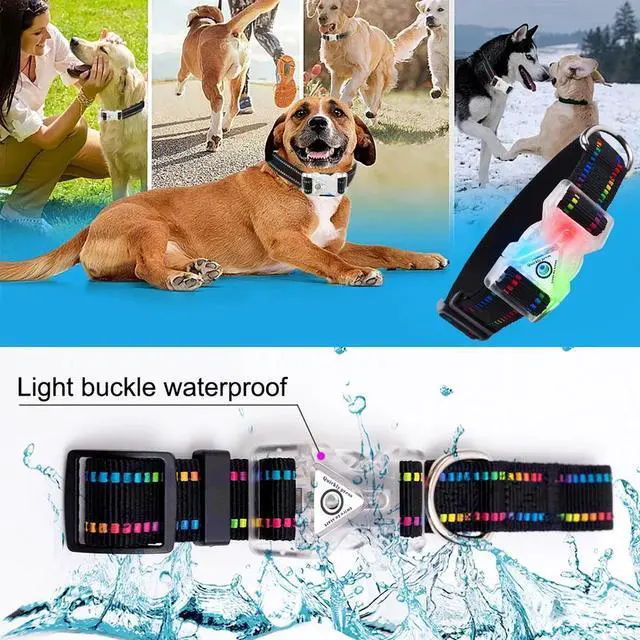 Alt view image 6 of 7 - LED Light Up Dogs Collar USB Rechargeble Pets Collar Colorful Glow-in-The-Dark