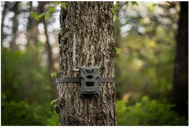Alt view image 6 of 6 - SPYPOINT Flex-M Twin Pack Cellular Trail Cameras - Best Hunting Accessories, No WiFi Needed, GPS, Night Vision, Dual-Sim LTE, IP65 Water-Resistant Game Camera, 28MP Photos