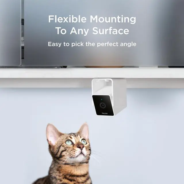 Alt view image 6 of 6 - Petcube Cam The Pack of 2 | Indoor Wi-Fi Pet Security Camera with Phone App, 2-Way Audio and Video, Night Vision, 1080p HD Video and Smart Alerts