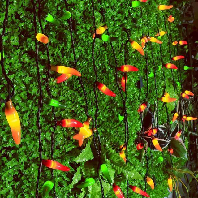 Alt view image 5 of 7 - 35 LED Red Green and Yellow Chili Pepper Christmas Lights, 18 Ft Green Wire House Decorative Lighting String, for Indoor and Outdoor Party, Kitchen, Living Room, Garden, Patio.