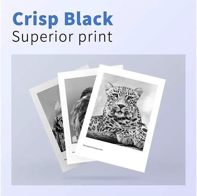 Alt view image 2 of 5 - myCartridge SUPRINT 240XL Black Ink Cartridge Remanufactured Ink Cartridge Replacement for PG-240 XL 240XL PG240XL for MG3620 MG3600 MG3520 MG3222 TS5120 TS5100 MX472 Printer 240 XL Black