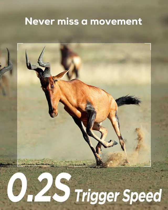 Alt view image 2 of 7 - iZEEKER Trail Camera 32MP 1080P, Trail Cameras with 940nm No Glow Infrared LEDs, Game Camera with Night Vision Motion Activated IP66 Waterproof for Wildlife Watching Indoor Security