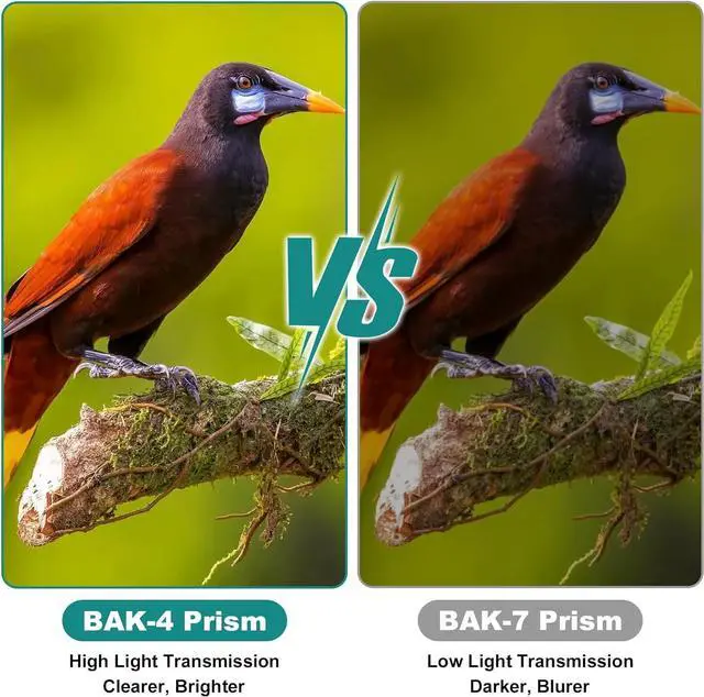 Alt view image 4 of 7 - USCAMEL 12x25 Compact Binoculars for Adults&Kids High Power with 16.5mm Large Eyepieces, BAK-4 Prism&FMC Lens, Waterproof Mini Binoculars Bird Watching, Concerts, Sport Events, Outdoor Travel