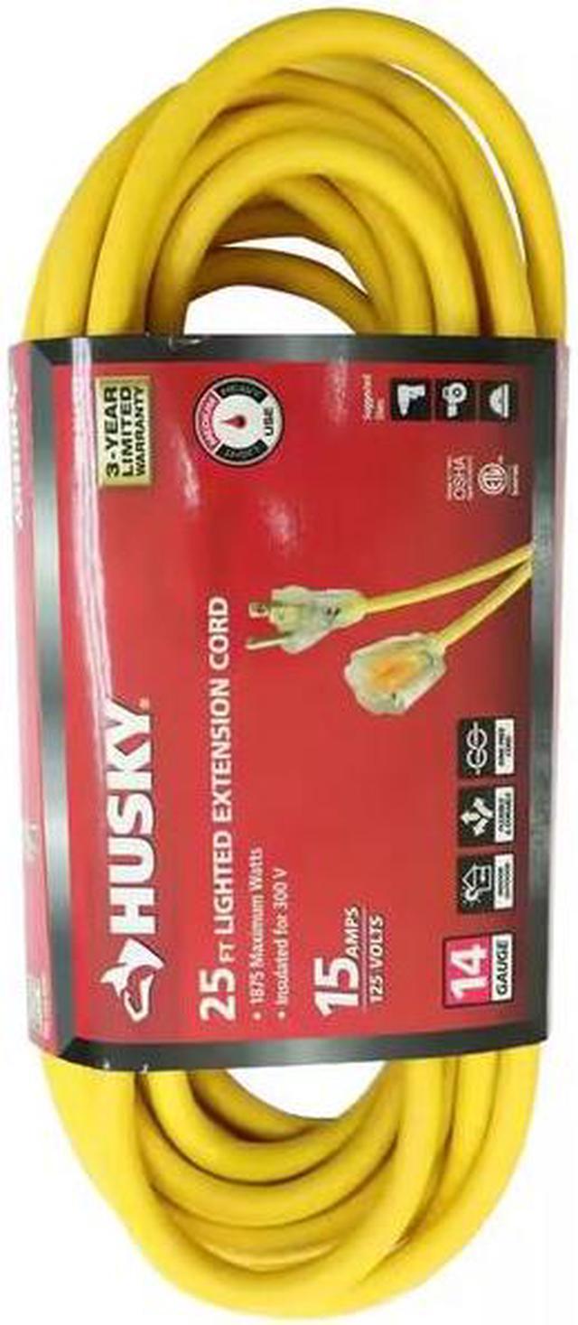 25 ft. 14/3 Medium Duty Indoor/Outdoor Extension Cord with Lighted