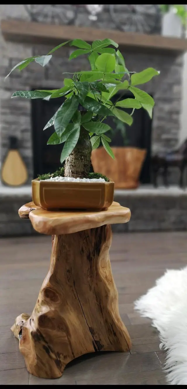 Alt view image 2 of 4 - Cedar Wood Potted Plant Stand Garden Pots Containers Vase Fishbowl Wooden Stand 20.5" Tall