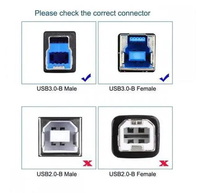 Alt view image 3 of 5 - 30cm USB 3.0 TypeB Female to USBC Male Extension Cable, 5Gbps HighSpeed Data Transfer Cord for SSD Drives, External Disk, Cameras, Printer & USBC Host Device Connection