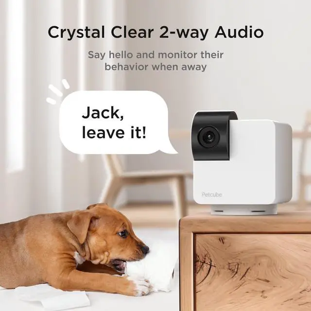 Alt view image 4 of 6 - 360 Camera Interactive WiFi Pet and Home Security Pan-Tilt Camera with Phone App, 1080p HD Video, 360° Rotation, Night Vision, AI Alerts